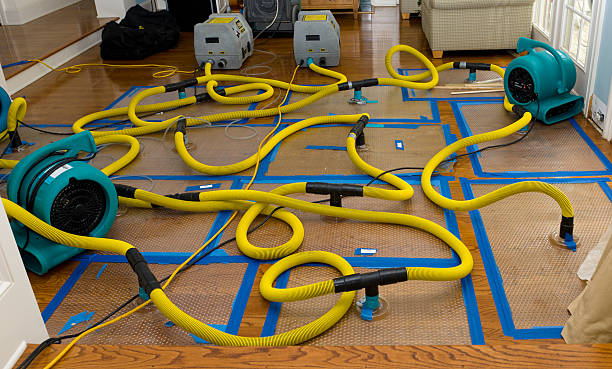 Professional Basement Flood Cleanup technician working in Hubbard, OH